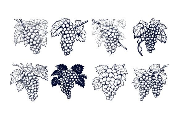 A Practical Look at Grape Vector Illustrations in AI EPS Collections