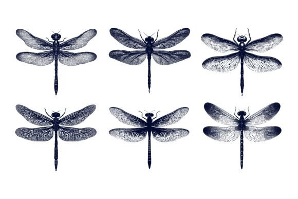 Stylized Dragonflies and the Strategic Value of Purpose-Built Vector Collections